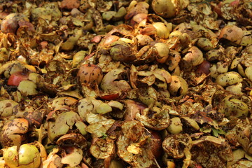 Pomegranate and its pieces around. Thick syrup making process