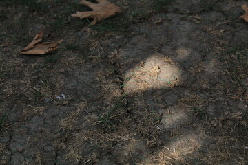 Drying soil with dry yellow grass on it.