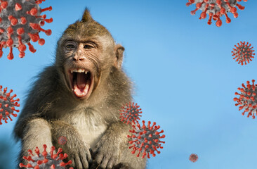 Monkeypox outbreak, MPXV virus, infectious disease spreading, sick monkey caused monkeypox virus viral zoonotic disease..Monkeys may harbor the virus and infect people. copy space