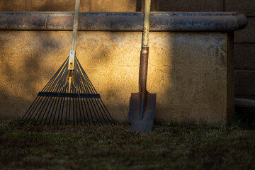 Fall yard work.