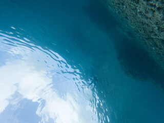 I went scuba diving in the Kerama Islands in Okinawa.