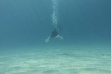 Obraz na płótnie Canvas I went scuba diving in the Kerama Islands in Okinawa.
