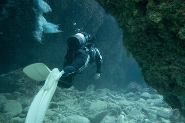 I went scuba diving in the Kerama Islands in Okinawa.