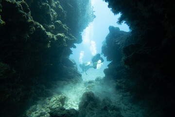 I went scuba diving in the Kerama Islands in Okinawa.