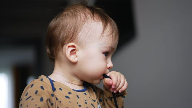 Adorable Caucasian kid with cute plump cheeks playing with cord. Little kid shoves shoe lace into mouth. Close up. Blurred backdrop.