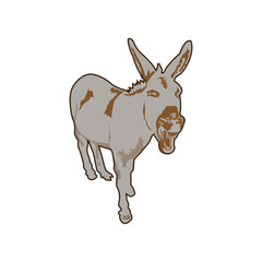 Illustration Vector Graphic of Donkey logo design