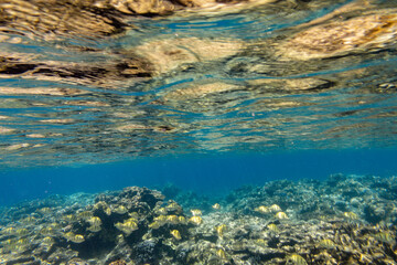 Snorkeling at the Kerama Islands in Okinawa.