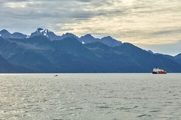 Kenai Fjords