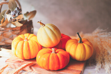 収穫の秋 かぼちゃ