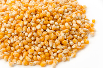 ポップコーンの種　乾燥トウモロコシ