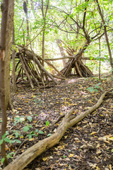 play ground in wood with tree house 