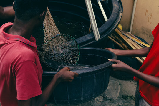 Family extracting catfish from fish pond 