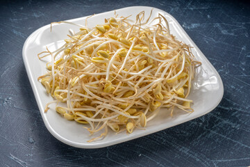 Soybean sprout is a culinary vegetable grown by sprouting soybeans for Asian cooking, Korean soup, Japanese dish.