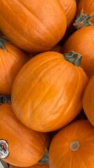 Close up to a pile of orange halloween pumkins
