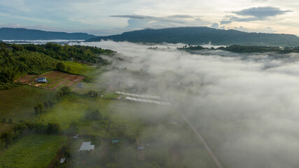 Mountains in fog at beautiful autumn in Phetchabun Thailand. Fog mountain valley, low clouds, forest, colorful sky with. pine trees in spruce foggy forest with bright sunrise