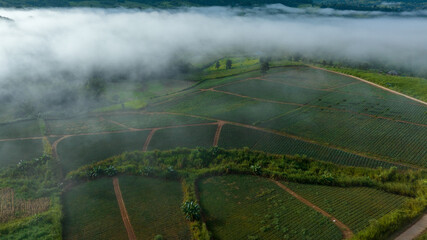 Mountains in fog at beautiful autumn in Phetchabun Thailand. Fog mountain valley, low clouds,...