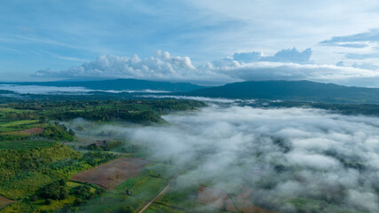 Mountains in fog at beautiful autumn in Phetchabun Thailand. Fog mountain valley, low clouds, forest, colorful sky with. pine trees in spruce foggy forest with bright sunrise