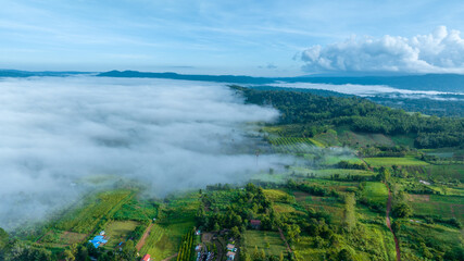 Obraz premium Mountains in fog at beautiful autumn in Phetchabun Thailand. Fog mountain valley, low clouds, forest, colorful sky with. pine trees in spruce foggy forest with bright sunrise