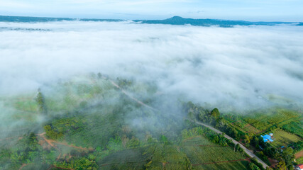 Mountains in fog at beautiful autumn in Phetchabun Thailand. Fog mountain valley, low clouds,...