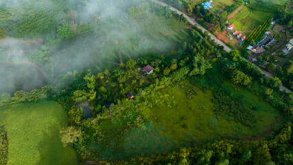 Mountains in fog at beautiful autumn in Phetchabun Thailand. Fog mountain valley, low clouds, forest, colorful sky with.  pine trees in spruce foggy forest with bright sunrise