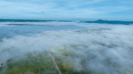 Mountains in fog at beautiful autumn in Phetchabun Thailand. Fog mountain valley, low clouds, forest, colorful sky with.  pine trees in spruce foggy forest with bright sunrise