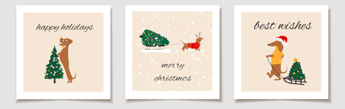 Christmas vector gift card or tag set christmas dachshund dogs with christmas trees merry christmas lettering, best wishes.
