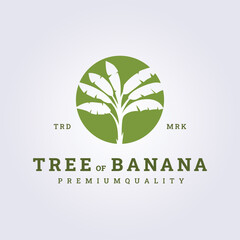 banana tree interior logo vector illustration design, banana tree in the pot