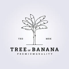 Obraz premium line banana tree vector logo illustration design