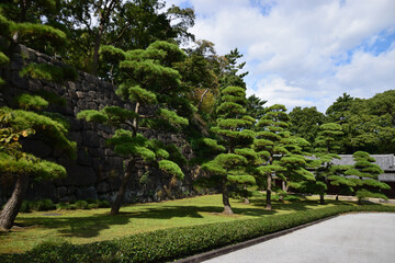 Fototapeta na wymiar 江戸城の風景