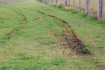 Fototapeta na wymiar tyre tracks in wet field