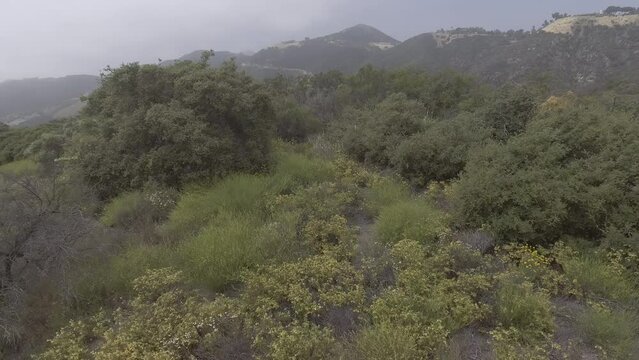 Foggy Hillside Drone 4K