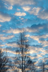 Dark and glowing red clouds clouds in the blue sky at sunrise.Dark red cloudy landscape. The beauty of nature,