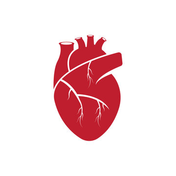 Human heart logo medical cardiology vector icon illustration