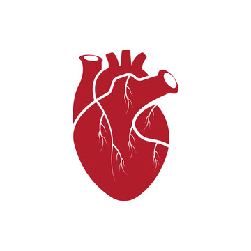 Human heart logo medical cardiology vector icon illustration