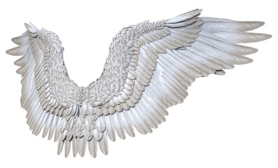 Obraz premium 3D Rendered Fantasy Bird Wings Isolated On Transparent Background - 3D Illustration