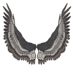 3D Rendered Fantasy Bird Wings Isolated On Transparent Background - 3D Illustration