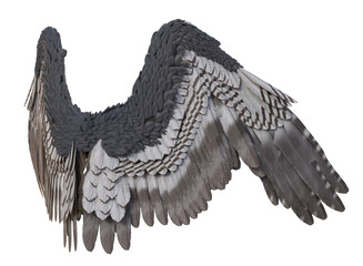 3D Rendered Fantasy Bird Wings Isolated On Transparent Background - 3D Illustration