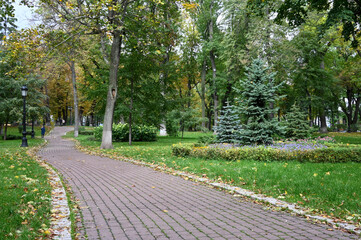 Path in the park of the city of Kyiv 