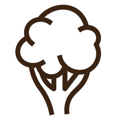 broccoli food healthy food ingredient nutrition vegetable outline icon