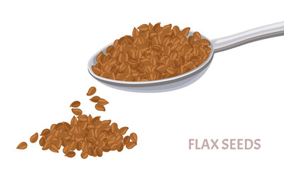 Flax in metal spoon and seed pile isolated on white. Vector illustration of healthy food in flat, simple style. Cooking ingredient.