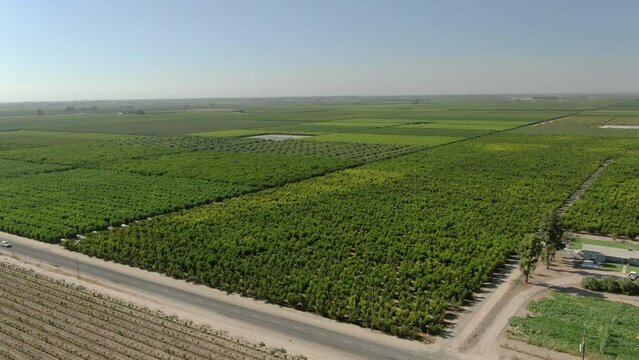 San Joaquin Valley Aerial Shot White Peach Field California USA