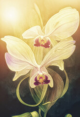Background with beautiful watercolor orchid. Flower background.