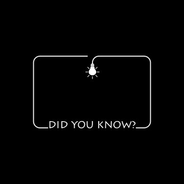 Did you know light bulb icon isolated on dark background