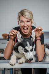 Portrait of female veterinarian specialist holding ears of purebred siberian husky dog.