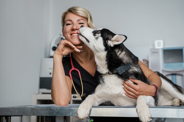 Portrait of professional vet woman dressed in uniform and husky dog lying on table.