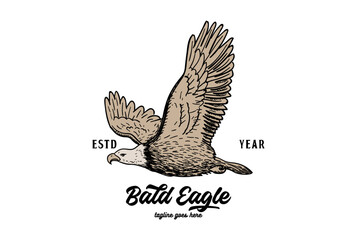 Fototapeta na wymiar Vintage Retro American Flying Bald Eagle Hawk Falcon Bird Logo Design Vector