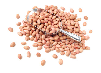  Peanut kernel isolated on white background