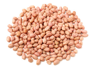  Peanut kernel isolated on white background