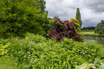 plants and trees in foreground overlooking lake - 538302786