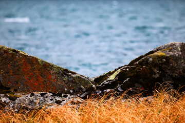 Altai mountain river landscape, panoramic scenery turquoise stream